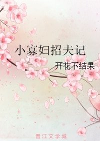 《小寡婦招夫記》