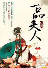 《(红楼同人)红楼之一品夫人》