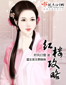 (红楼梦同人)红楼攻略