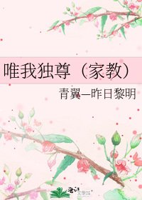 《唯我獨尊(家教)》