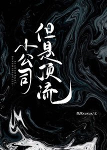 《小公司,但是頂流》