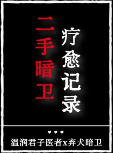 《二手暗衛療愈記錄》