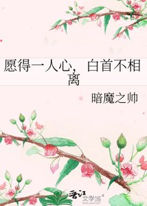 《願得一人心,白首不相離》